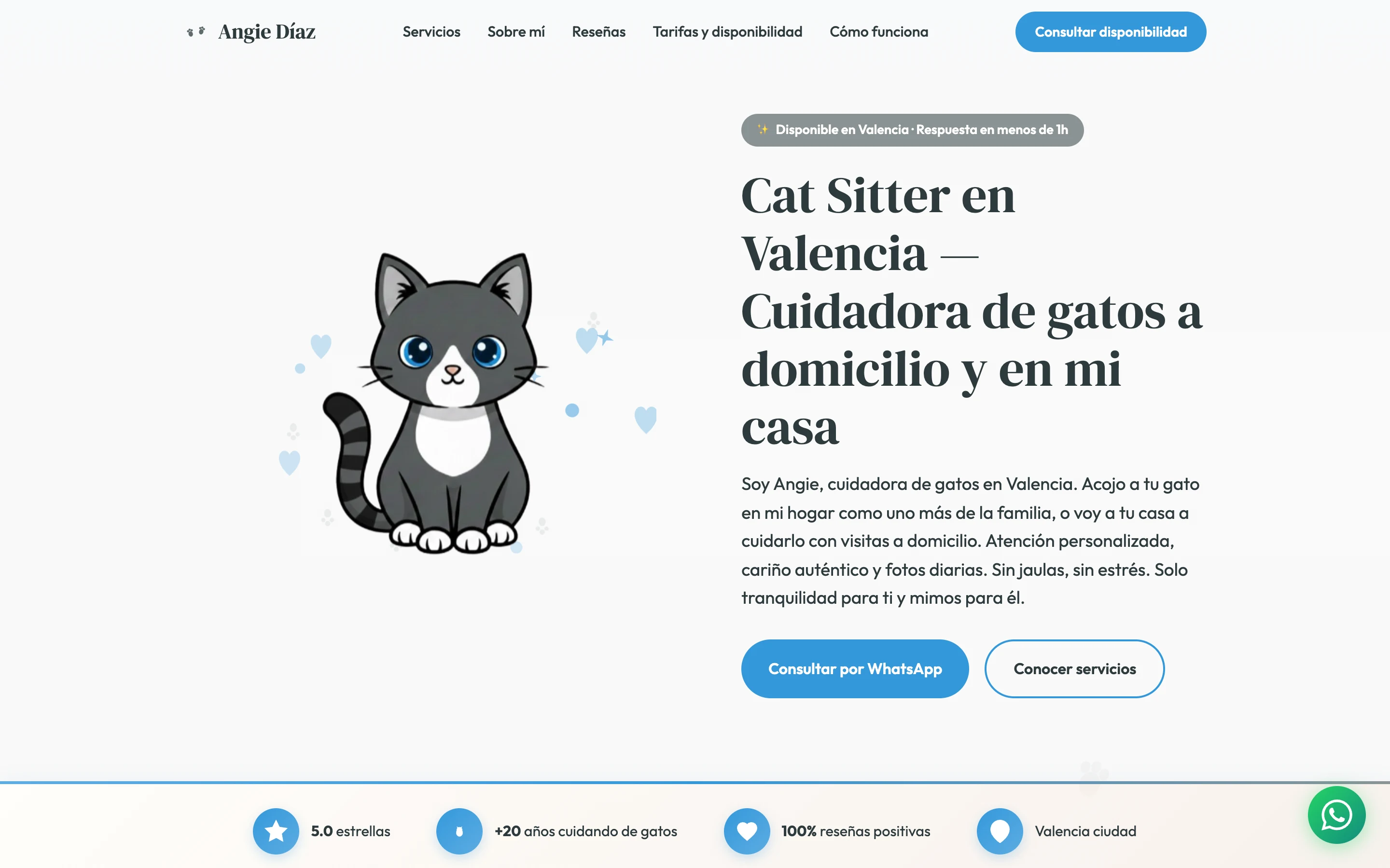 Cat Sitter Valencia